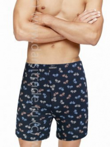 Трусы мужские GB7826H Gentlemen боксеры