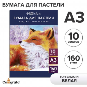 Бумага для пастели А3, 10 листов 