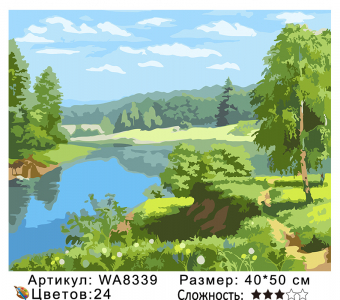 CWA8339 Под заказ