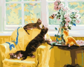 GX 36467 Уценка по сроку