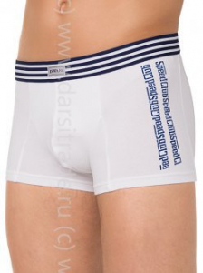 Трусы мужские MSH406 Tattoo Shorts DiWaRi Дроп боксеры