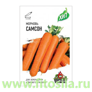 Морковь Самсон 0,3 г (Голландия) ХИТ х3 (семена для проращивания)