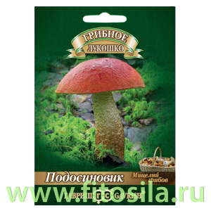 Подосиновик на зерновом субстрате, больш. пак. 15 мл (семена для проращивания)