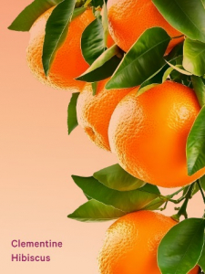 Clementine Hibiscus Hydrating Body Lotion