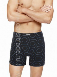 Трусы мужские GS8046 Gentlemen шорты