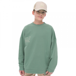 BFN4296 толстовка для мальчиков (1 шт в кор.)