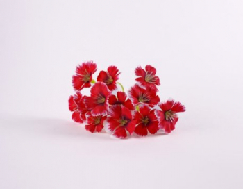 Искусственные цветы, Голова мелкой гвоздички для ветки, венка