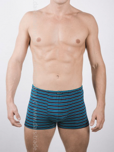 Трусы мужские GS7720 Gentlemen шорты