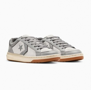 Pro Blaze Classic Leather & Suede