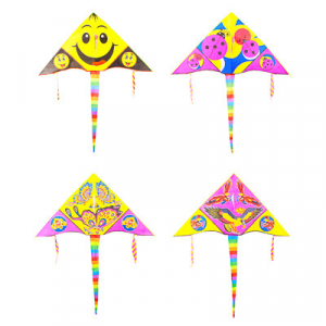 Воздушный змей Летний ветер.134-083