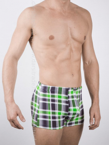 Трусы мужские GS7726 Gentlemen шорты