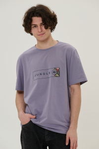 футболка мужская 2877-12