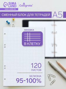 Сменный блок для тетрадей на кольцах А5, 120 листов, в клетку, Calligrata, блок офсет № 160 г/м?, белизна 100%