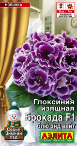 2008A Глоксиния Брокада F1 блю энд вайт 5шт