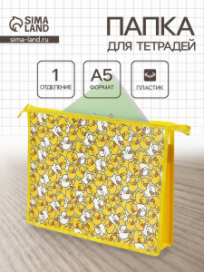 Папка для тетрадей А4 «Уточки», молния сверху