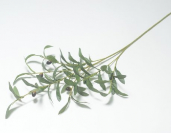Искусственные цветы, Ветка оливка 6 веток (1010237) зеленый