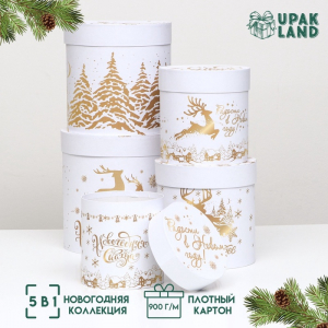 Набор подарочных шляпных коробок 5 в 1 «С Новым годом», 23?23- 15?15 см