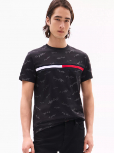 Signature Flag Stripe Logo T-Shirt