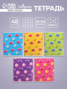 Тетрадь 48 листов в клетку, Calligrata «Макарун», МИКС