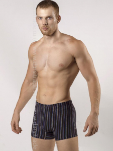 Трусы мужские GS7242 Gentlemen шорты
