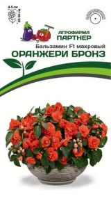 3287P Бальзамин F1 махровый ОРАНЖЕРИ БРОНЗ 5шт