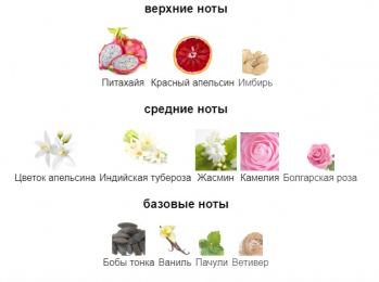 ELLA K PARFUMS CAMELIA K edp 100ml tester