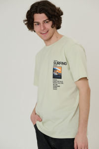 футболка мужская 2853-20