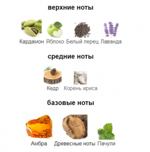 AJMAL AMBER WOOD edp 100ml