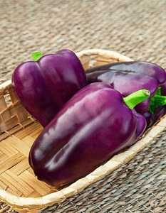 Перец сладкий Мистик  (Селекция 