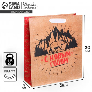 Пакет подарочный новогодний крафтовый «С Новым годом», M 26?30?9 см