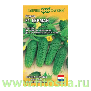 Огурец Герман F1 5 шт. корнишон (Голландия) (семена для проращивания)