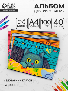 Альбом для рисования А4, 40 листов на скобе Hatber «Котофей», обложка мелованный картон, блок офсет, МИКС 5 видов