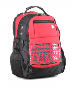 Рюкзак «Suissewin»