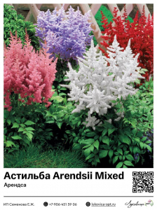 Астильба Arendsii Mixed (Арендса)