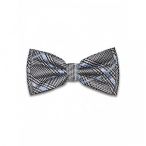 Бабочка Tsarevich 55