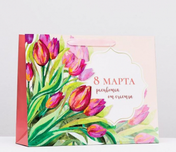 Пакет ламинированный 