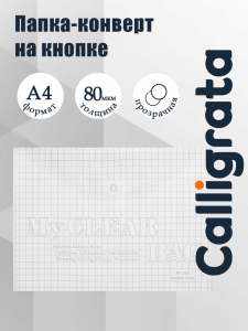 Папка-конверт на кнопке, А4, 80 мкм, «Клетка», прозрачная