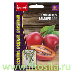 Цифомандра Тамарилло (Томатное дерево) 5шт. (семена для проращивания)