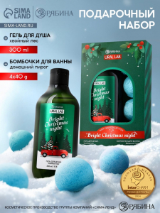 Новогодний подарочный набор косметики Bright Christmas night: гель для душа, 300 мл и бомбочки для ванны, 4?40 г, URAL LAB