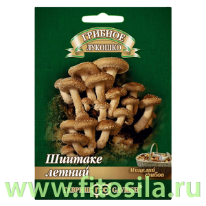 Шиитаке Летний на древесной палочке, больш. пак. 12 шт (семена для проращивания)