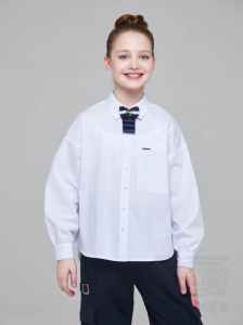 1205  Блузка для девочки длинный рукав