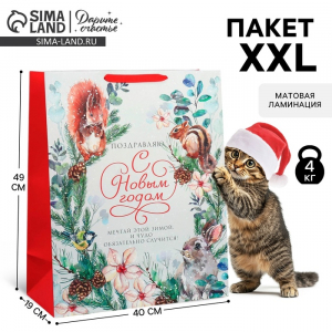 Пакет подарочный новогодний ламинированный «С Новым годом», XL 40?49?19 см