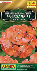 1556A Пеларгония Рафаэлла F1 персиковая 5 шт