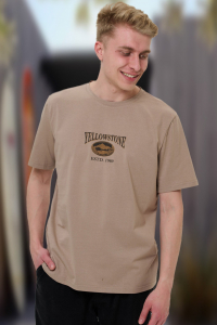 футболка мужская 2829-45