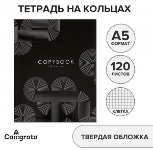 Тетрадь на кольцах A5 120 листов в клетку Calligrata «Графика», обложка 7БЦ, блок офсет
