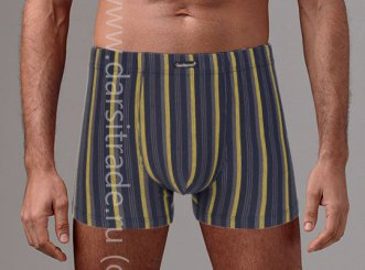 Трусы мужские GS7868 Gentlemen шорты