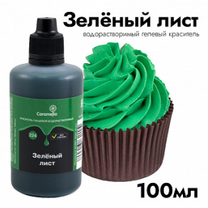 Краситель пищевой гелевый водорастворимый Caramella 224 Зеленый лист 100 гр