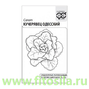 Салат Кучерявец Одесский 0,5 г (хрустящий) б/п с евроотв. (семена для проращивания)