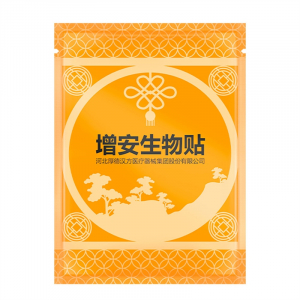 Биостикер магнитный урологический при нарушениях мочевыделительной системы