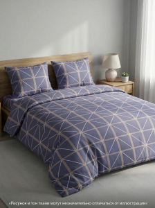 Комплект постельного белья Теорема серый бязь